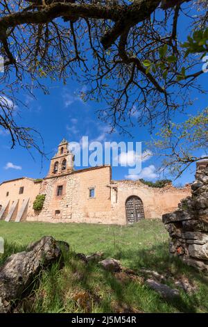 Ruinen der Synagoge von San Roman in Medinaceli, Provinz Soria, Spanien. Stockfoto