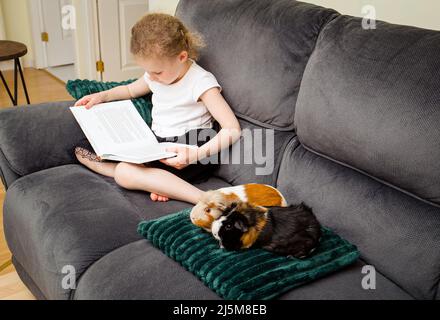 6-jähriges Mädchen, das zu Hause ein Buch vor echten Versuchskaninchen liest und dabei Lese- und Vertrauenskonzept übt. Stockfoto