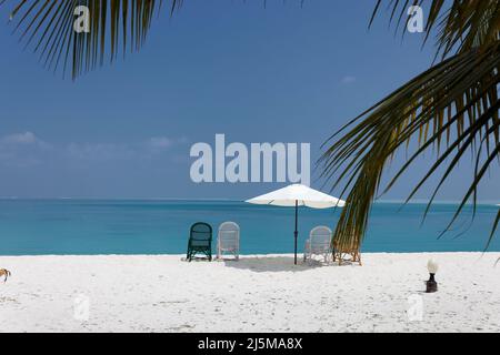 Bangaram Island, Lakshadweep, Indien. Natürliche Schönheit der Insel mit weißem Sand und klarem Meerwasser. Stockfoto