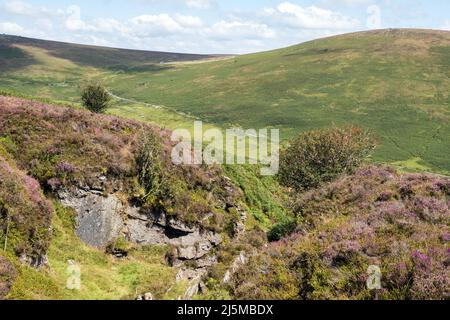 Großbritannien, England, Devonshire, Dartmoor. Alte Zinnbergbaukanäle oder Gerten, die das Granitgestein zeigen. Stockfoto