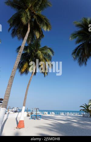 Bangaram Island, Lakshadweep, Indien. Natürliche Schönheit der Insel mit weißem Sand und klarem Meerwasser. Stockfoto