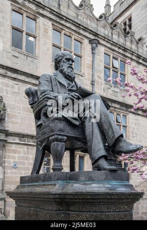 Bronzestatue eines sitzenden Charles Darwin vor der Bibliothek, Csatle Gates , Shrewsbury in Auftrag gegeben 1897. Stockfoto