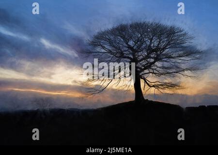 Digitales abstraktes Ölgemälde eines einbunter Baumes bei Sonnenaufgang auf Grindon Moor, Staffordshire, White Peak, Peak District National Park, Großbritannien. Bildende Kunst, Kunstwerke Stockfoto