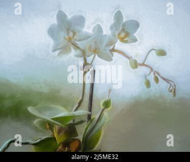 Bildende Kunst, Kunstwerke. Digitale abstrakte Ölgemälde einer weißen Orchidee, Orchidaceae in Blüte vor einem regnerischen Fenster Hintergrund, mit einer flachen Tiefe von Fi Stockfoto