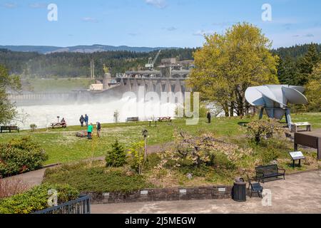 Bonneville-Staudamm, der das Wasser vor den Toren des Staudamms freisetzt, Bundesstaat Oregon. Stockfoto