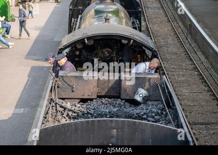 Luftaufnahme des Fahrerhauses, des Fahrers und des Kohletreibers der Dampflokomotive aus dem Jahr 30925, die auf der traditionsreiche Watercress Line fährt. Hampshire, England Stockfoto