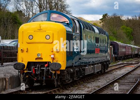 Ehemalige BR-Klasse 55 'Deltic', 55019 als 'Royal Highland Fusilier' bezeichnet, die mit der Ecclesbourne Valley Railway in den Bahnhof Wirksworth fährt. Stockfoto