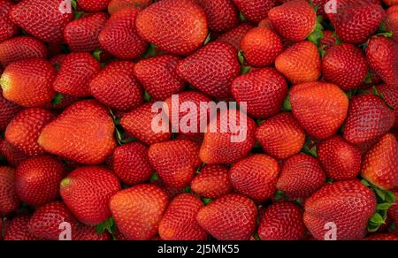 Hintergrundtextur Von Frischen Bio-Erdbeeren Stockfoto