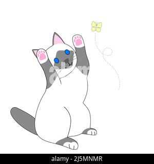 Eine spielende birman Katze und fliegender gelber Schmetterling mit weißem Hintergrund Stockfoto