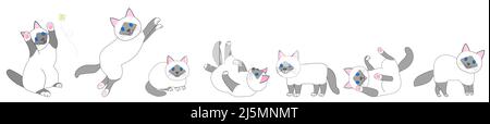Eine Sammlung von tabby Katzen in verschiedenen Positionen mit weißem Hintergrund Stockfoto