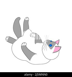 Eine spielende birman Katze mit weißem Hintergrund Stockfoto