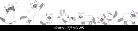 Eine Sammlung von tabby Katzen in verschiedenen Positionen mit weißem Hintergrund Stockfoto