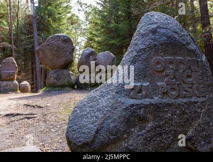 Weg durch das Buchenbergreservat - in der polnischen Bukowa Gora - in Zwierzyniec, Region Roztochia in Polen. Stockfoto