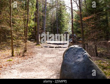 Weg durch das Buchenbergreservat - in der polnischen Bukowa Gora - in Zwierzyniec, Region Roztochia in Polen. Stockfoto