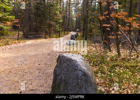 Weg durch das Buchenbergreservat - in der polnischen Bukowa Gora - in Zwierzyniec, Region Roztochia in Polen. Stockfoto