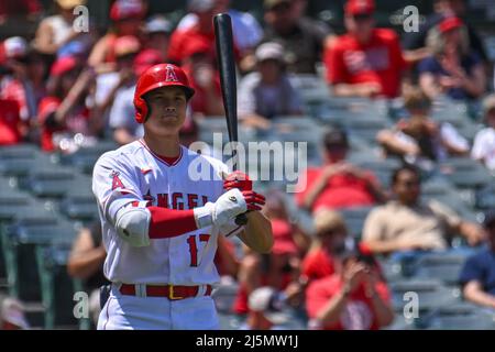 Anaheim, Kalifornien, USA. 24. April 2022. Los Angeles Angels ernannte den Hitter Shohei Ohtani (17) während eines MLB-Baseballspiels zwischen den Baltimore Orioles und den Los Angeles Angels im Angel Stadium in Anaheim, Kalifornien. Justin Fine/CSM/Alamy Live News Stockfoto