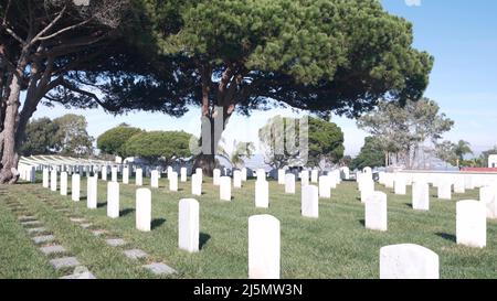 Grabsteine auf dem nationalen amerikanischen Militärfriedhof, Friedhof in den USA. Grabsteine oder Grabsteine und grünes Rasengras. Respekt und Ehre für Soldaten der Streitkräfte. Veteranen und Gedenktag. Stockfoto