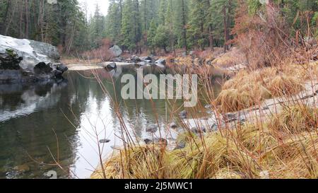 Fluss fließt im Herbstwald, Yosemite Nationalpark Tal, Wiesenlandschaft, kalifornische Wildnis, USA Natur. Ruhige Oberfläche des Wasserstroms oder Baches, nebliges Herbstwetter, Nebel in verregneten Bergen. Stockfoto