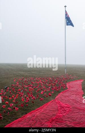 Melbourne, Australien. 25.. April 2022. Ein Feld mit handgefertigten roten Mohnblumen, das im Lilydale Memorial Park zum Anzac Day aufgestellt wurde. Quelle: Jay Kogler/Alamy Live News Stockfoto