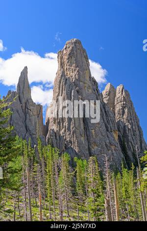 Granitmonolithe ragen in den Black Hills im Custer State Park in South Dakota aus dem Boden Stockfoto