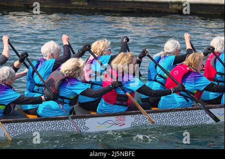 Frauen nehmen an einem Drachenbootrennen in der Inlet Spring Regatta 2022 im Rocky Point Park, Port Moody, B. C., Kanada, Teil. 23. April 2022. Stockfoto