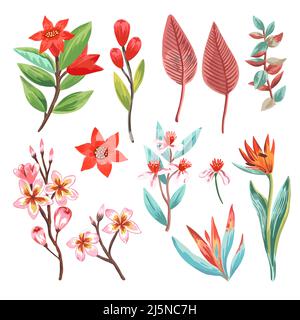 Set von tropischen exotischen Blumen in Aquarell künstlerischen handgemalten Stil. Stock Vektor