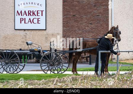 Amish Mann, der sein Pferd und seine Kutsche auf dem Strasburg Market Place in Strasburg, Pennsylvania, einkutscht. (USA) Stockfoto