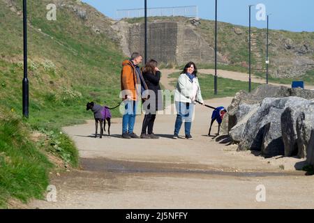 Drei Personen, die an einem sonnigen Frühlingstag mit zwei Hunden am Meer bei Skinningrove spazieren gehen Stockfoto