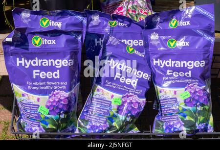 Vitax Hydrangea-Futter, das lebendige Blumen und starkes gesundes Wachstum fördert, kann in einem Gartencenter in einem Gartencenter verkauft werden Stockfoto