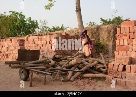 Santiniketan, Westbengalen, Indien. 24. April 2022. Im Bericht heißt es, dass es in ganz Indien 50 Tausend Ziegelöfen gibt. Im Durchschnitt arbeiten in jedem Ofen 150 Arbeiter. In der Ziegelofenindustrie, das Formen und Brennen von Ziegelsteinen aus Ton. Meist männlich, aber auch ein bedeutender Mitarbeiter von Frauen und Kindern. Ziegelöfen befinden sich in kleinen Produktionseinheiten außerhalb des Stadtgebiets. Die Arbeiter sind überwiegend Wanderarbeiter und die Arbeit ist saisonal. (Bild: © Samiran Nandy/Pacific Press via ZUMA Press Wire) Stockfoto