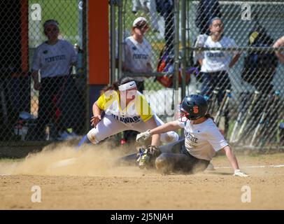 Danville, Usa. 24. April 2022. Ein Penn State-Baserunner wird am 24. April 2022 vom dritten Baseman der University of Delaware beim North Atlantic Regional Tournament der National Club Softball Association (NCSA) in Danville, Pennsylvania, ausgeklingt. Delaware gewann das Turnier und erhielt zusammen mit dem Vizemeister Penn State einen Liegeplatz in der NCSA World Series in Colmbus, Georgia. (Foto von Paul Weaver/Sipa USA) Quelle: SIPA USA/Alamy Live News Stockfoto