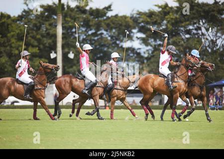 Wellington, Usa. 24. April 2022. Pilot Polo vs La Elina Polo Team während der U.S. Open Polo Championship 2022, Finale im International Polo Club Palm Beach, Florida. Endergebnis: 11-6. Sieger: Pilot Polo. Kredit: SOPA Images Limited/Alamy Live Nachrichten Stockfoto