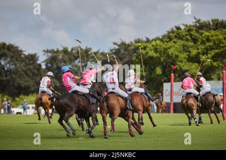 Wellington, Usa. 24. April 2022. Pilot Polo vs La Elina Polo Team während der U.S. Open Polo Championship 2022, Finale im International Polo Club Palm Beach, Florida. Endergebnis: 11-6. Sieger: Pilot Polo. Kredit: SOPA Images Limited/Alamy Live Nachrichten Stockfoto