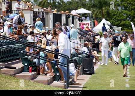 Wellington, Usa. 24. April 2022. Pilot Polo vs La Elina Polo Team während der U.S. Open Polo Championship 2022, Finale im International Polo Club Palm Beach, Florida. Endergebnis: 11-6. Sieger: Pilot Polo. Kredit: SOPA Images Limited/Alamy Live Nachrichten Stockfoto