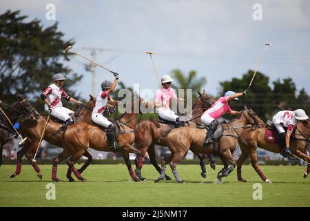 Wellington, Usa. 24. April 2022. Pilot Polo vs La Elina Polo Team während der U.S. Open Polo Championship 2022, Finale im International Polo Club Palm Beach, Florida. Endergebnis: 11-6. Sieger: Pilot Polo. (Foto von Yaroslav Sabitov/SOPA Images/Sipa USA) Quelle: SIPA USA/Alamy Live News Stockfoto