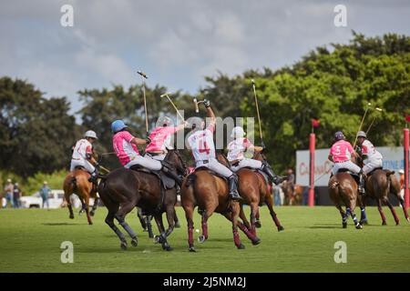 Wellington, Usa. 24. April 2022. Pilot Polo vs La Elina Polo Team während der U.S. Open Polo Championship 2022, Finale im International Polo Club Palm Beach, Florida. Endergebnis: 11-6. Sieger: Pilot Polo. (Foto von Yaroslav Sabitov/SOPA Images/Sipa USA) Quelle: SIPA USA/Alamy Live News Stockfoto