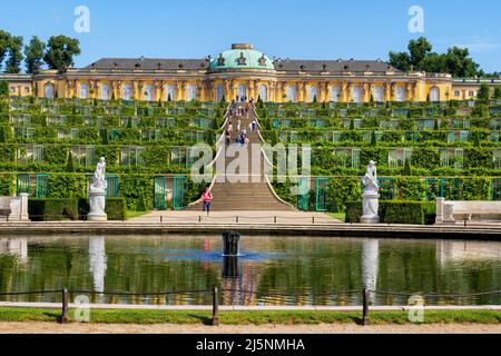 Schloss Sanssouci und Gärten, Brunnen im Sanssouci Park in der Stadt Potsdam, Brandenburg, Deutschland, UNESCO-Weltkulturerbe. Stockfoto