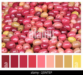 Farblich abgestimmte Palette mit kostenlosen Farbfeldern. Eingelegte Oliven farblich passend zur Palette. Rote eingelegte Oliven auf einem traditionellen marokkanischen Markt Stockfoto