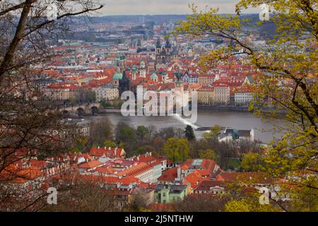 Die Bäume umrahmen den Blick auf das historische Zentrum von Prag mit der Karlsbrücke, Kirchen und Kathedralen, roten Dächern. Stockfoto