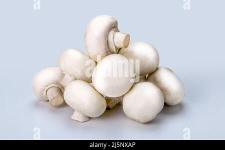 Frische Champignons isoliert auf grauem Hintergrund. Seitenansicht. Champignons gesunde und leckere Pilze. Champignon-Pilze aus der Nähe Stockfoto