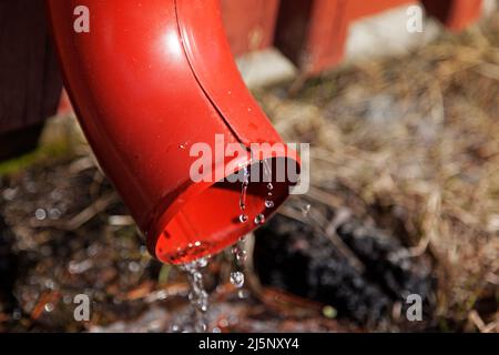 Wasser fließt im Frühjahr aus einem roten Fallrohr Stockfoto