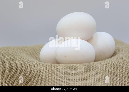 „Fünf weiße Eier auf Sackleinen mit neutralgrauem Hintergrund Stockfoto