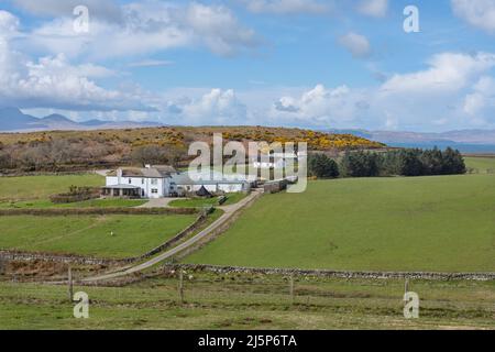 Idyllische Landschaft mit Bauernhaus, umgeben von grünen Weiden, Ackerland und wilder Natur der Argyll- und Bute-Region vor der Westküste Schottlands Stockfoto