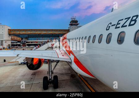 Personen, die am internationalen Flughafen Malpensa in Mailand, Italien, mit easyJet fliegen. Stockfoto