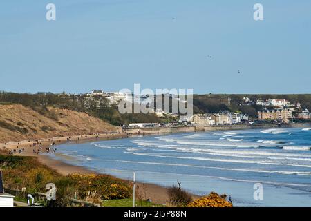 Blick Richtung Norden am Strand entlang nach Filey Town, Filey Bay, Yorkshire Ostküste, Nordengland, Großbritannien Stockfoto