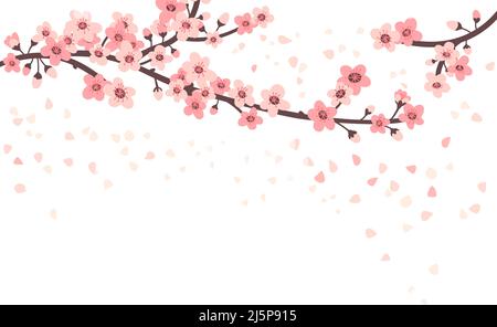 Kirschblüte. Aprikosen-Sakura-Blüten und fliegende Blätter. Japanische Äste, rosa Blüten und Blätter. Isolierte asiatische chinesische Blütenpflanze neoterisch Stock Vektor