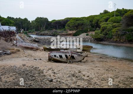 Schiffsfriedhof mit alten, kaputten, hölzernen Fischerbooten, die bei Ebbe auf dem Sand neben der Atlantikküste liegen Stockfoto