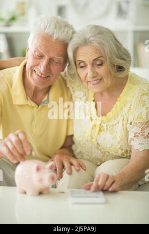 Fröhliche Senioren mit Sparschwein Stockfoto