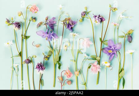 Blumenmuster mit Wildblumen, grünen Blättern, Ästen auf blauem Hintergrund. Flach liegend Stockfoto