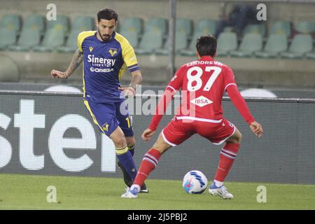 Federico Ceccherini vom FC Hellas Verona kämpft am 23. April 2022 mit Antonio Candreva vom FC Sampdoria während des Spiels Hellas Verona gegen UC Sampdoria, 34Â der Serie A Tim 2021-22, im Marcantonio Bentegodi Stadium in Verona, Italien, um den Ball. Stockfoto